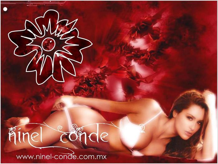 ce fundal - Ninel Conde