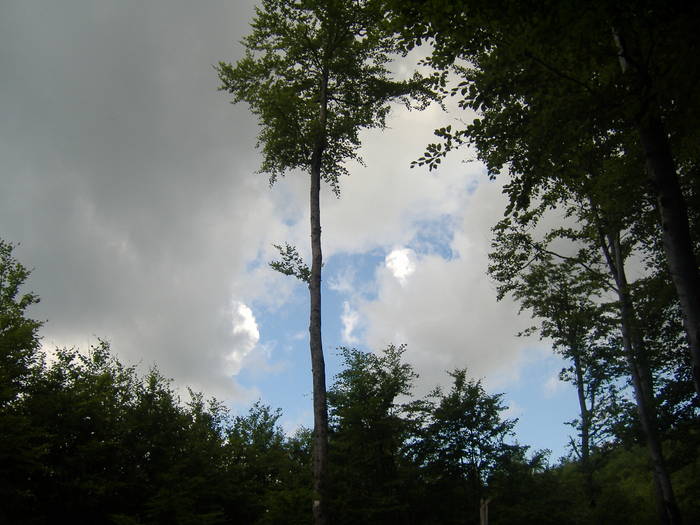 DSCF6063