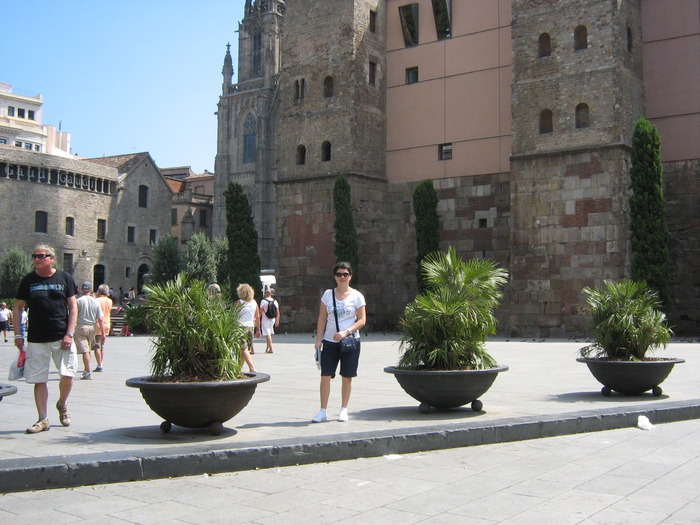 16 Catedral de Barcelona - Barcelona 2009