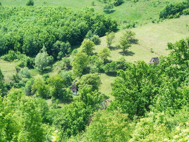 DSCF0497 - Cetatea Chioarului 13 mai 2009