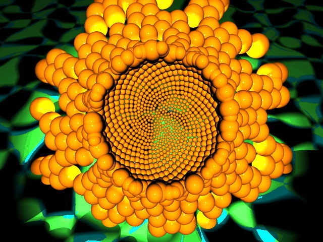 FLOWER - Flori