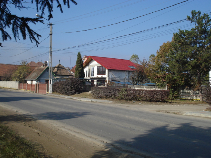 DSC02545