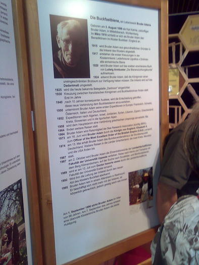 Imagine1101 - ApiMondia