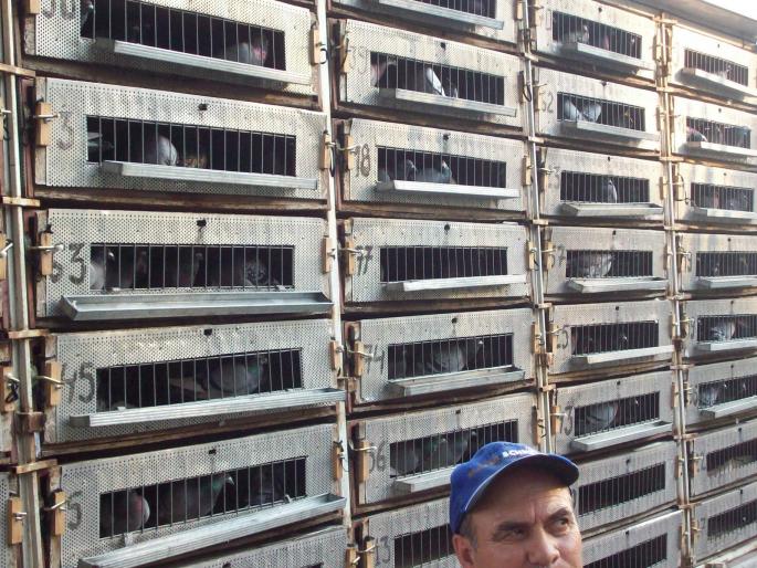 gmg22 038 - ASC grivita concurs 2008