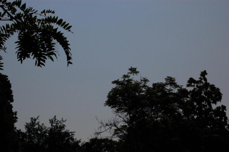 Resize of DSC_0241 - iulie 2008