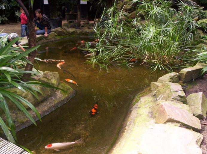 centrul papagali (171)