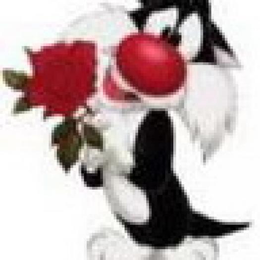 imagini-avatar-yahoo-0778 - Animale