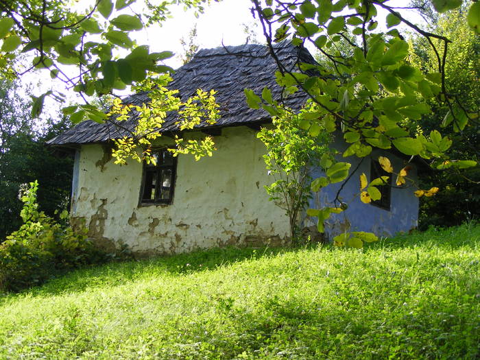 DSCF0451