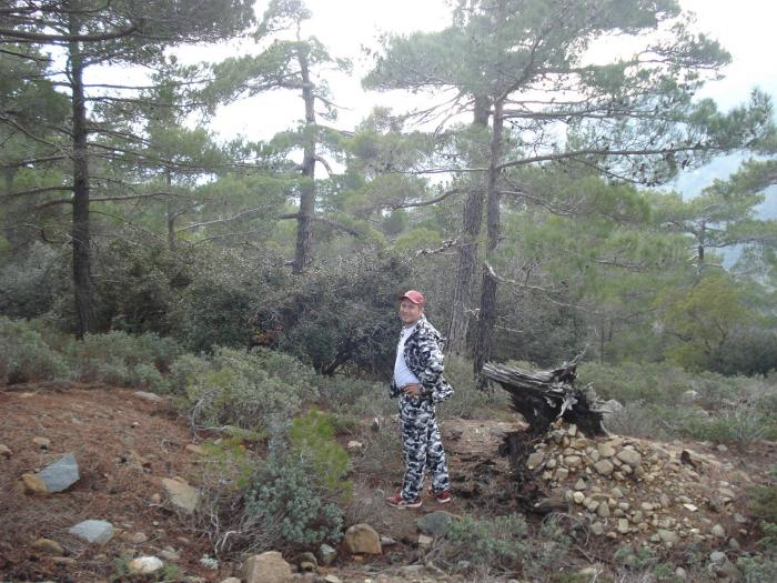 Picture 663; Muntii Troodos
