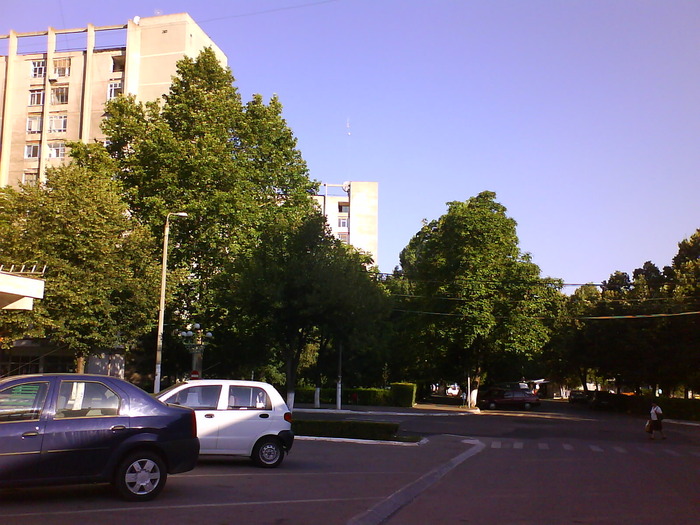 DSC05434