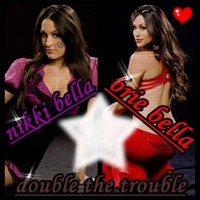 page-4 - WWE - The Bella Twins