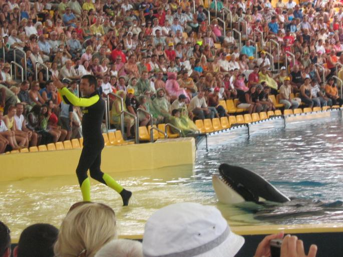 IMG_0793 - Tenerife 2006