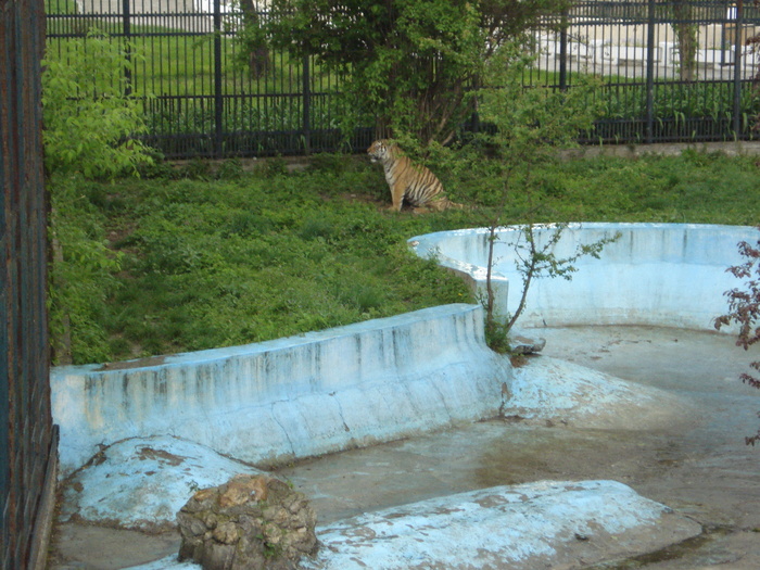 Picture 042 - zoo targoviste