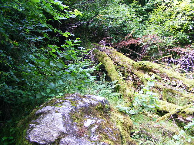 DSCF5179