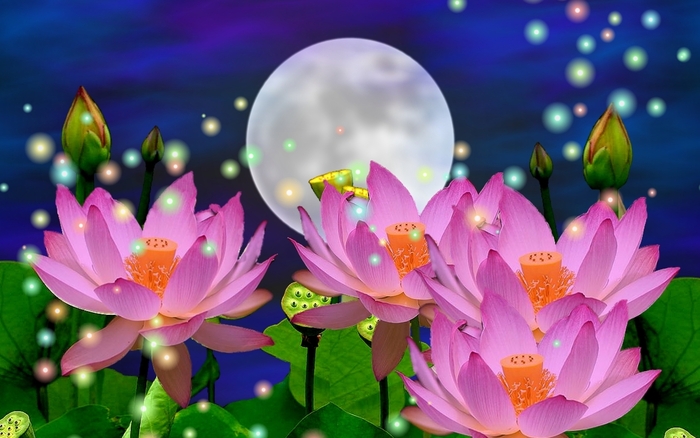 Night-magic - 171 - Nature Wallpapers