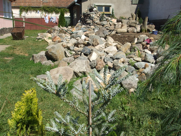 DSCF0387 - Rockgarden in lucru