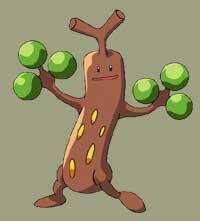 sudowoodo[1]