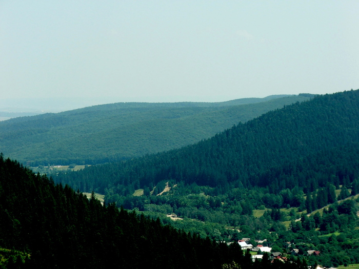 DSCF1777 - peisaje_Bucovina