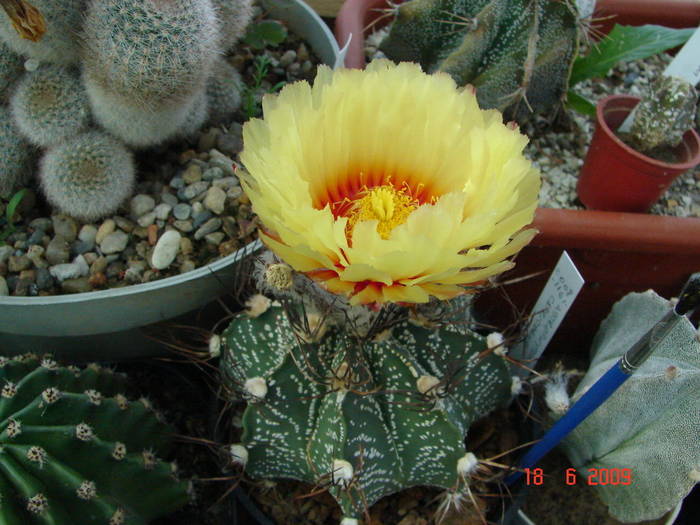 DSC06202