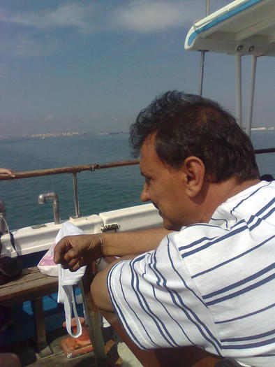 Imagine1297 - ApiMondia