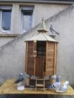 VBBGHZRDRRHQNJMBIUX - MODELE DE CRESCATORII