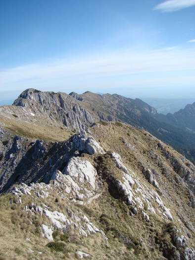 DSC03254 - Piatra Craiului MAI