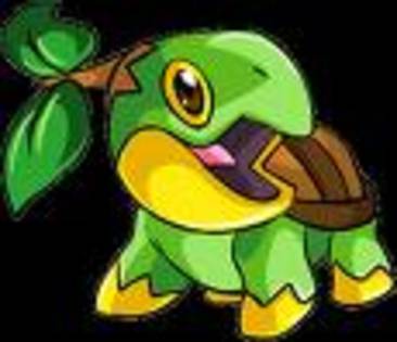 turtwig - pokemon