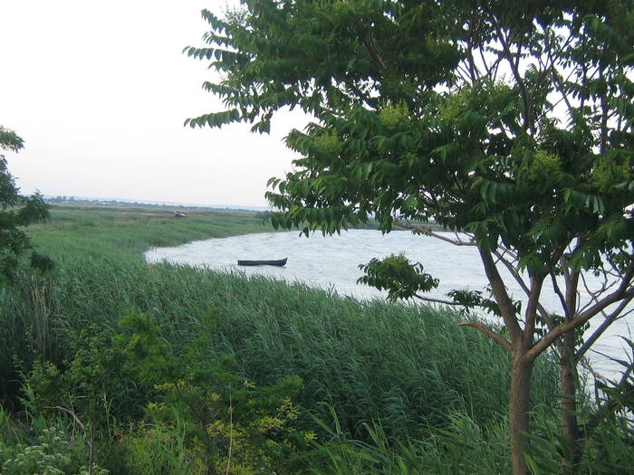 lacul Razelm - natura