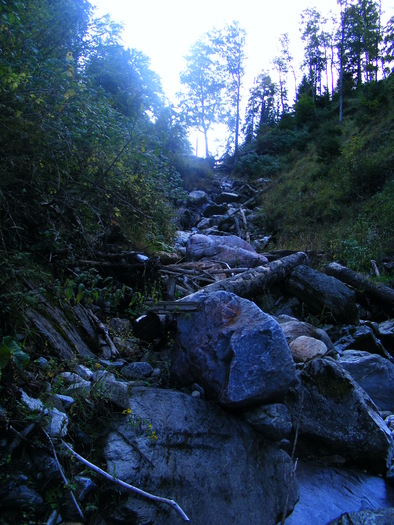 DSCF6330 - muntii Rodnei