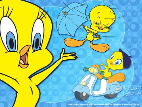 merveandmahmure_0_tweety - Tweety