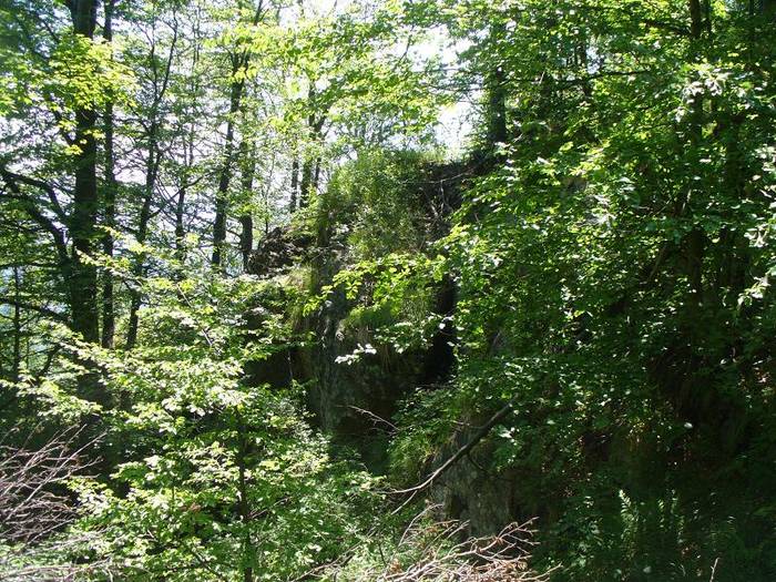 P1000552 - varful Ignis Maramures