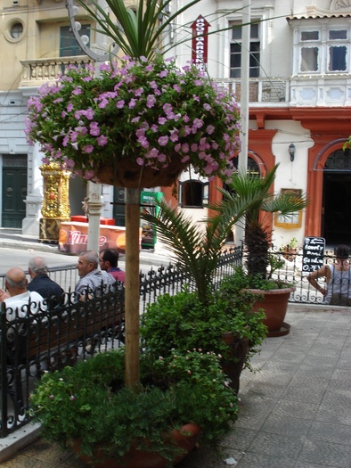 DSC04105 - 2009 MALTA AUGUST