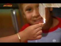 LGPVFIVFXNAMLQVWGYO - ingerasii