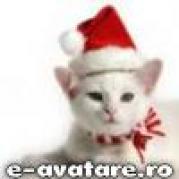 avatare_gratuite_732065170475ec3d14a19b6.21948719 - Animalute dragute