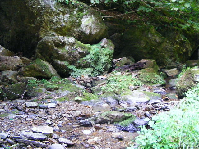 DSCF5170