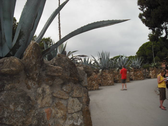 Picture 278 - Parcul Guell