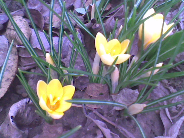 Imag055