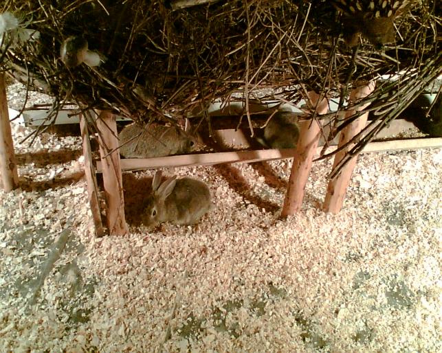 Image072 - in parck cu placa