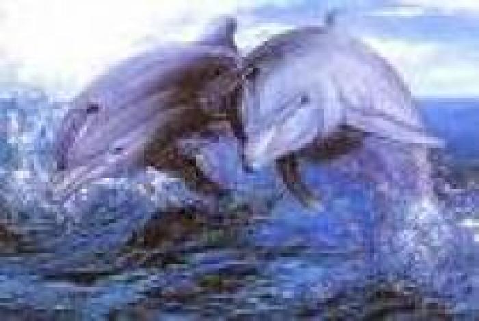 ULDDUXVWWLZMTESOMNG - delfini