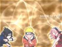 yiuy - team 7