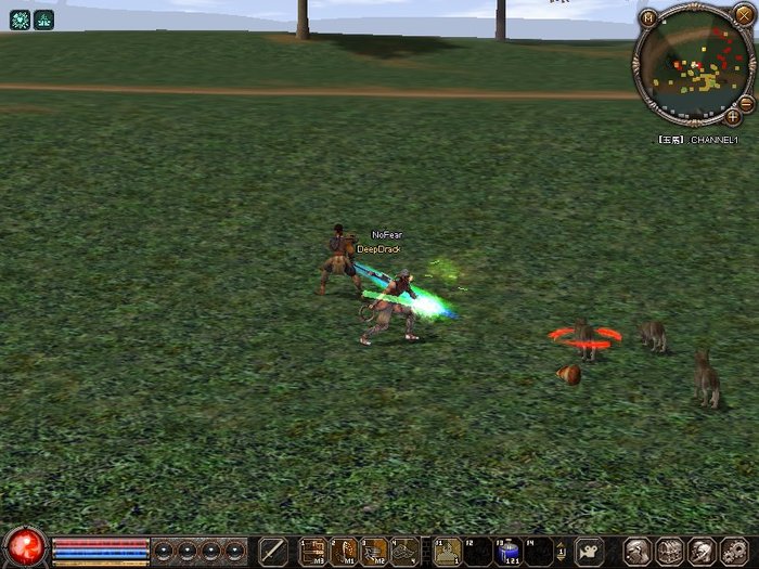 1205_204437 - metin 35 pserver poze noi