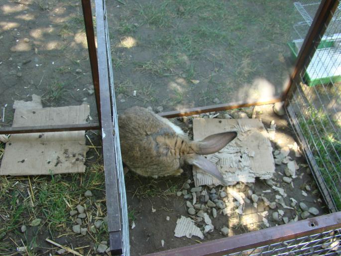 DSC00815 - 22-05-2008