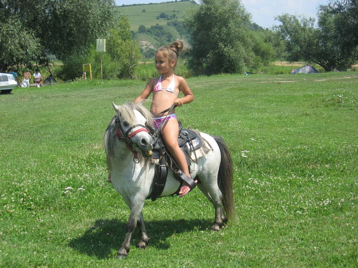 IMG_3632 - ECHITATIE 2008-2009