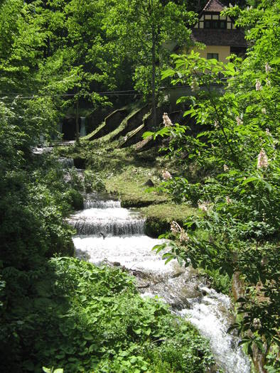 058 - 31 mai 2009 Peles