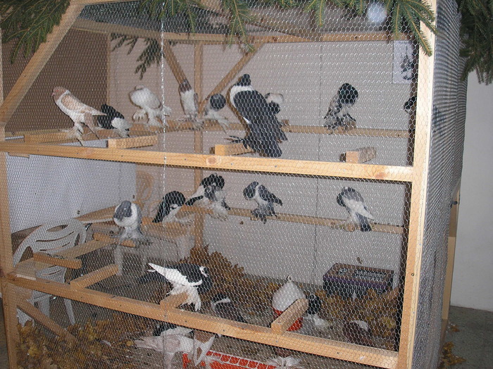 P1010168