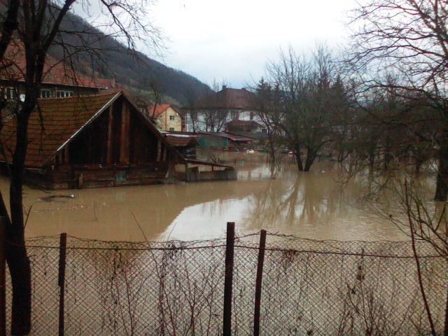 Picture 044 - Inundatii decembrie 2009 apa in gradina si curtea mea de la CRISCIOR