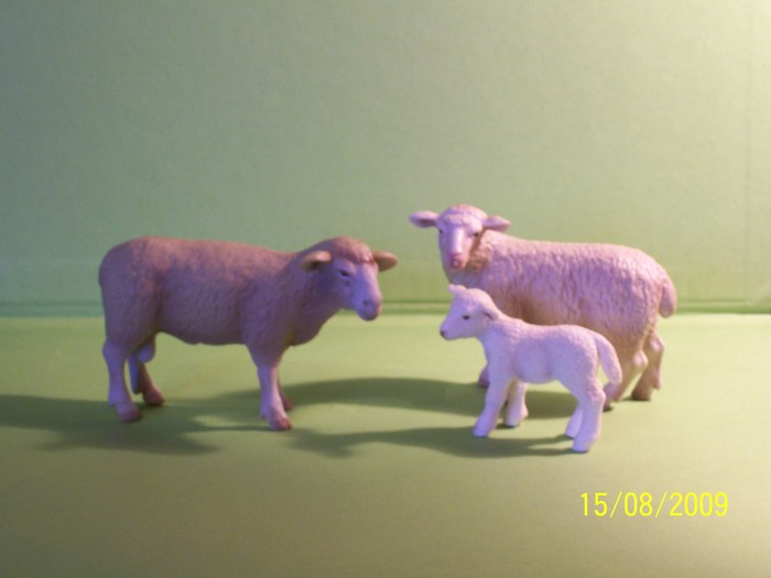 oi - animale SCHLEICH