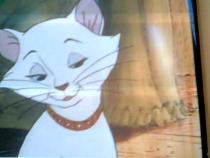 TWNXSPYGGTDYDFJGBHA - aristocats