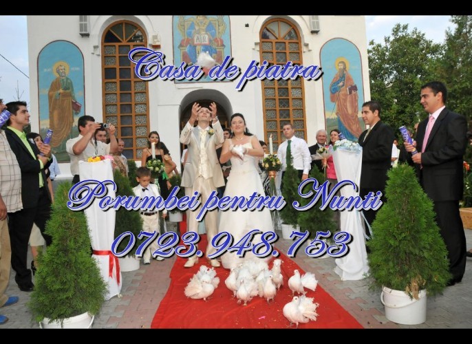 0125_DSC_8754 - porumbei pentru nunti