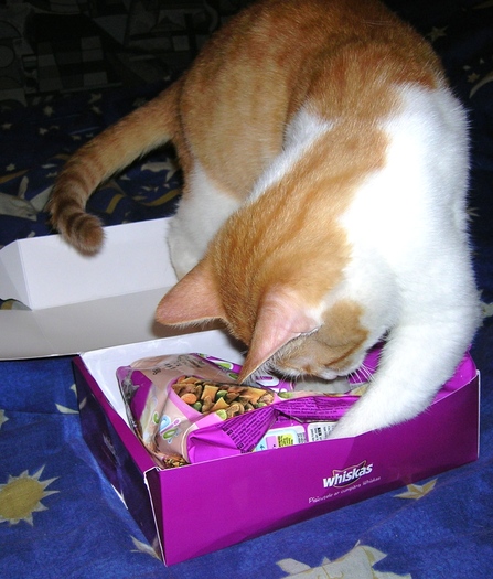 trebuie sa o scot de acolo